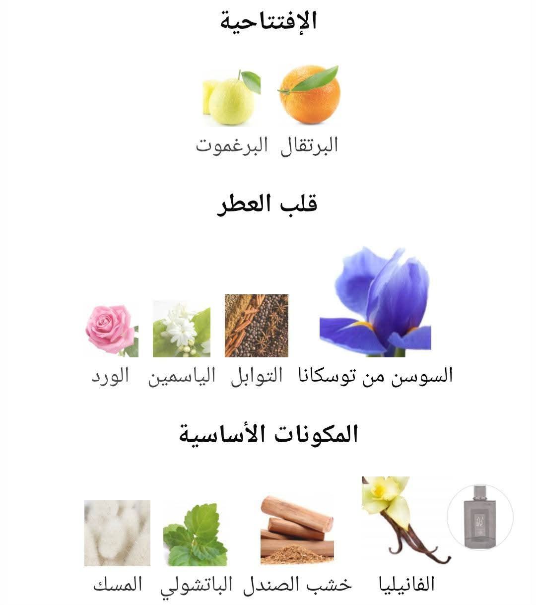 Kayaan Classic Al Wataniah