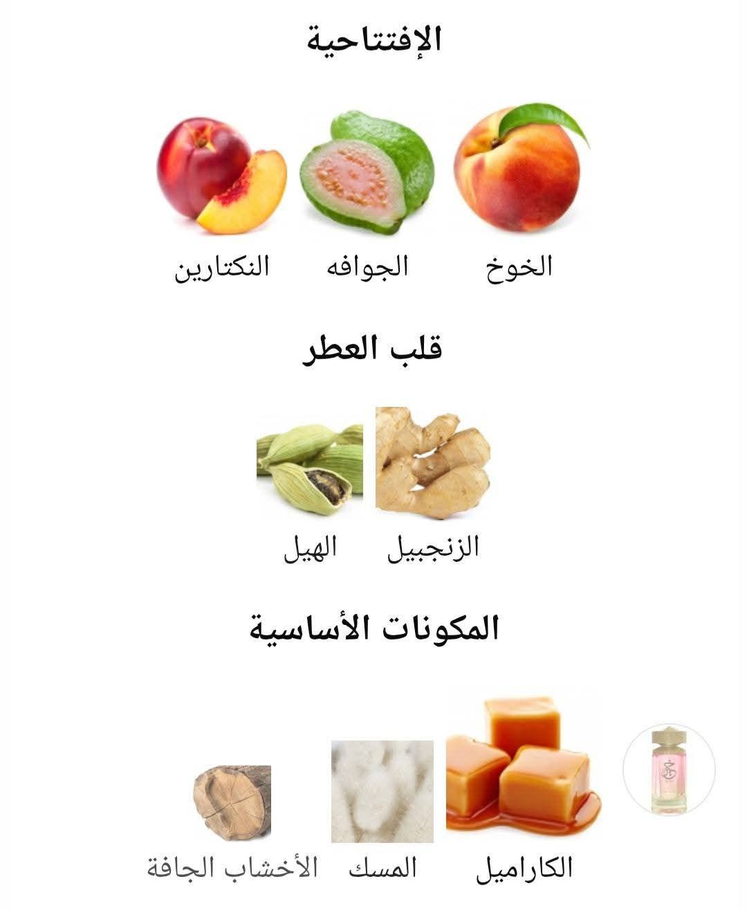 Khair Peach Delulu PARIS CORNER