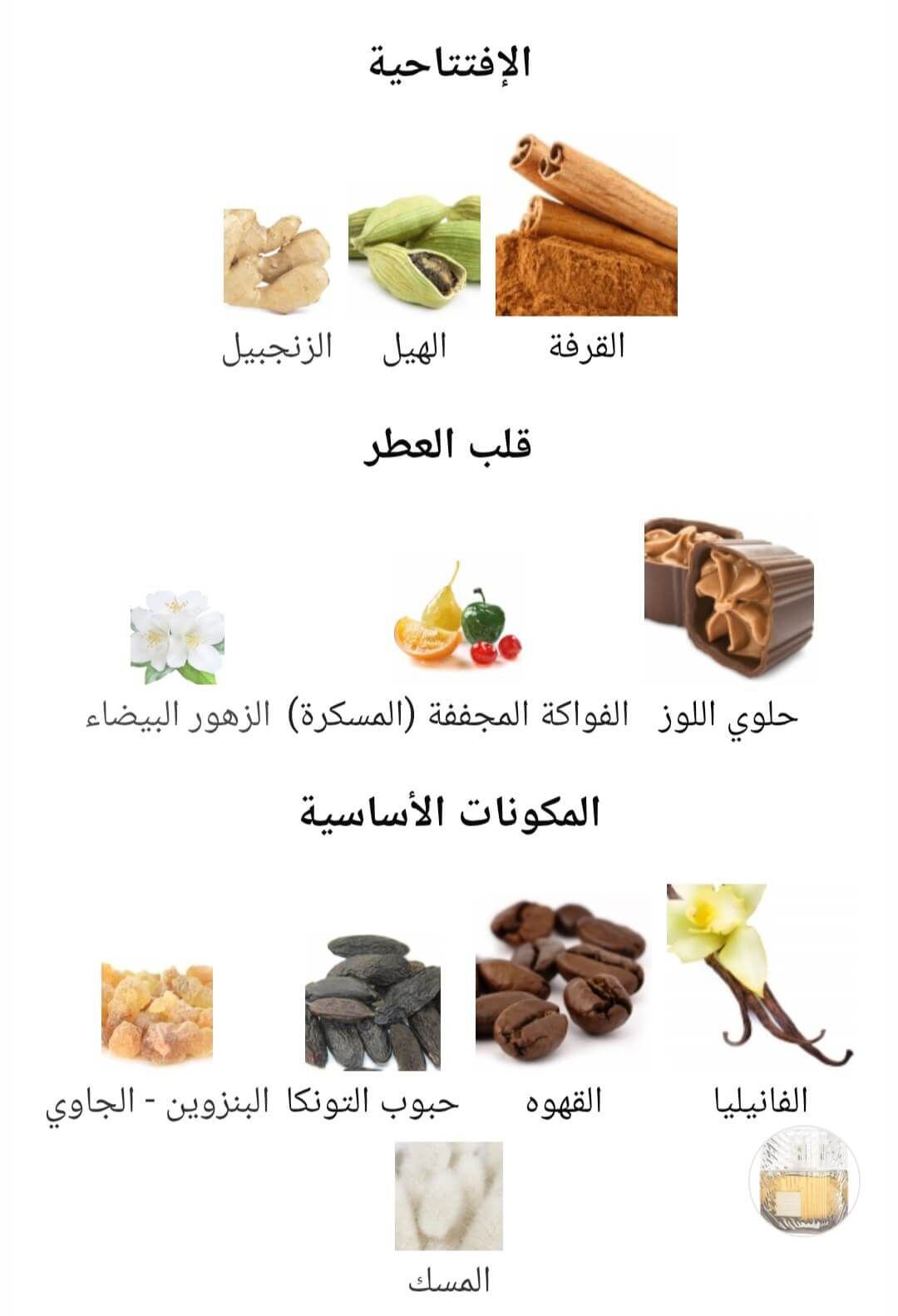 Khamrah Qahwa Lattafa Perfumes