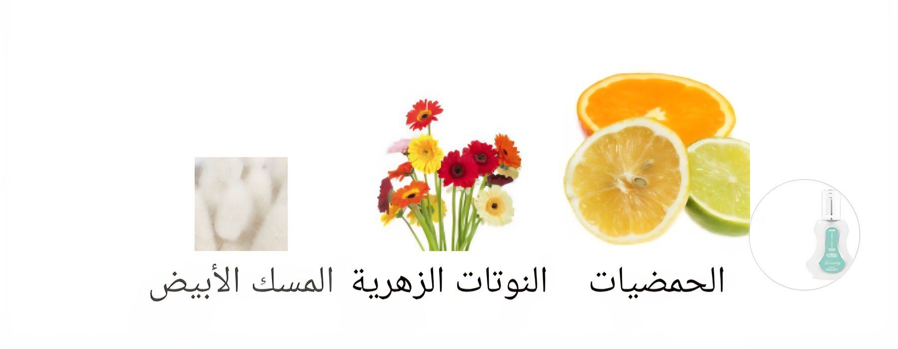 Lovely Al-Rehab