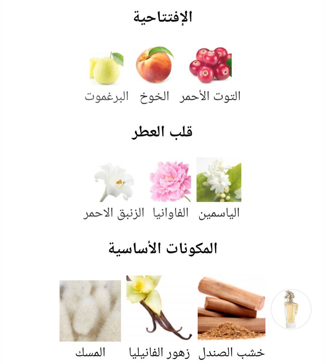 Maahir Lattafa Perfumes