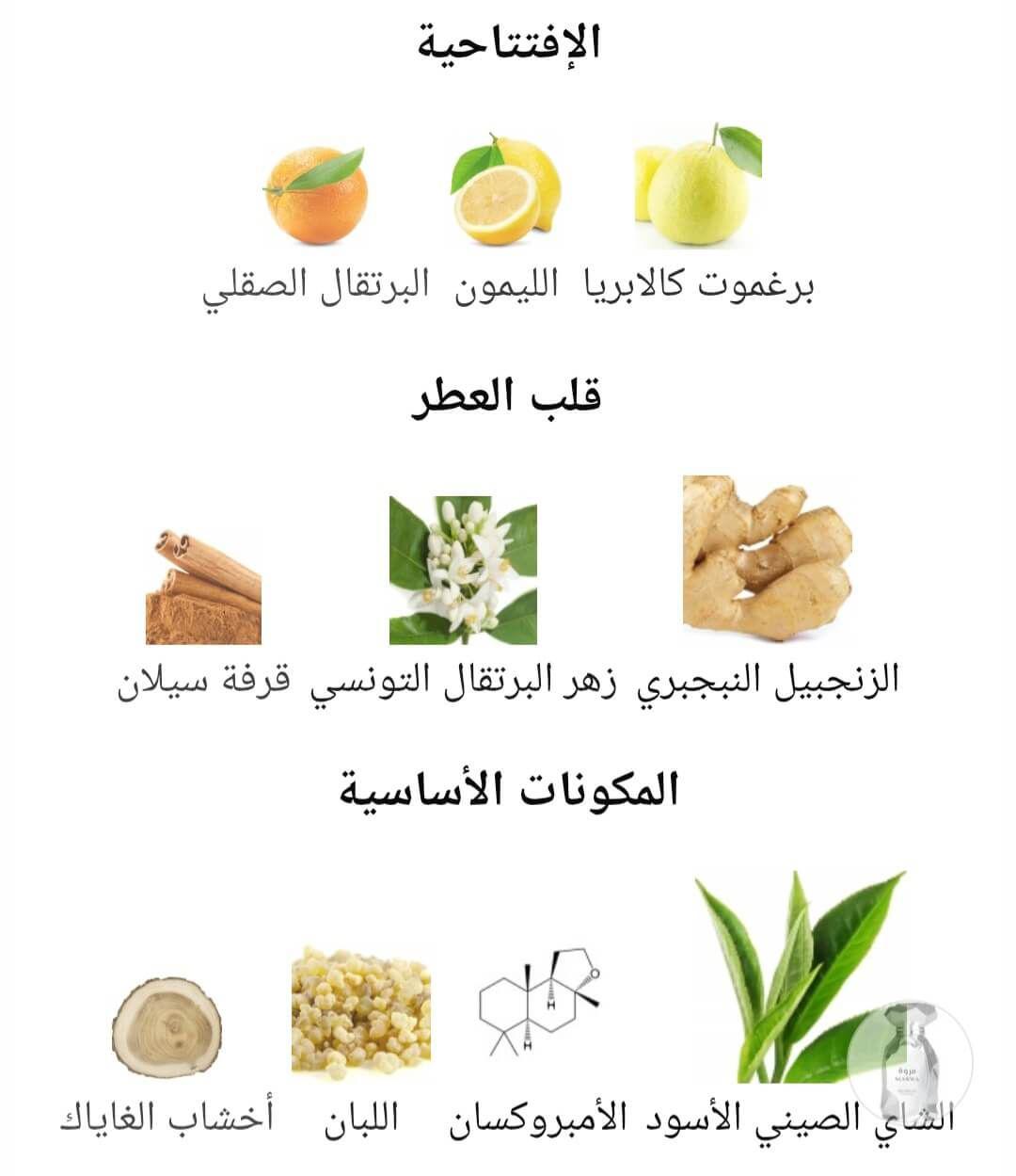 Marwa Arabiyat Prestige