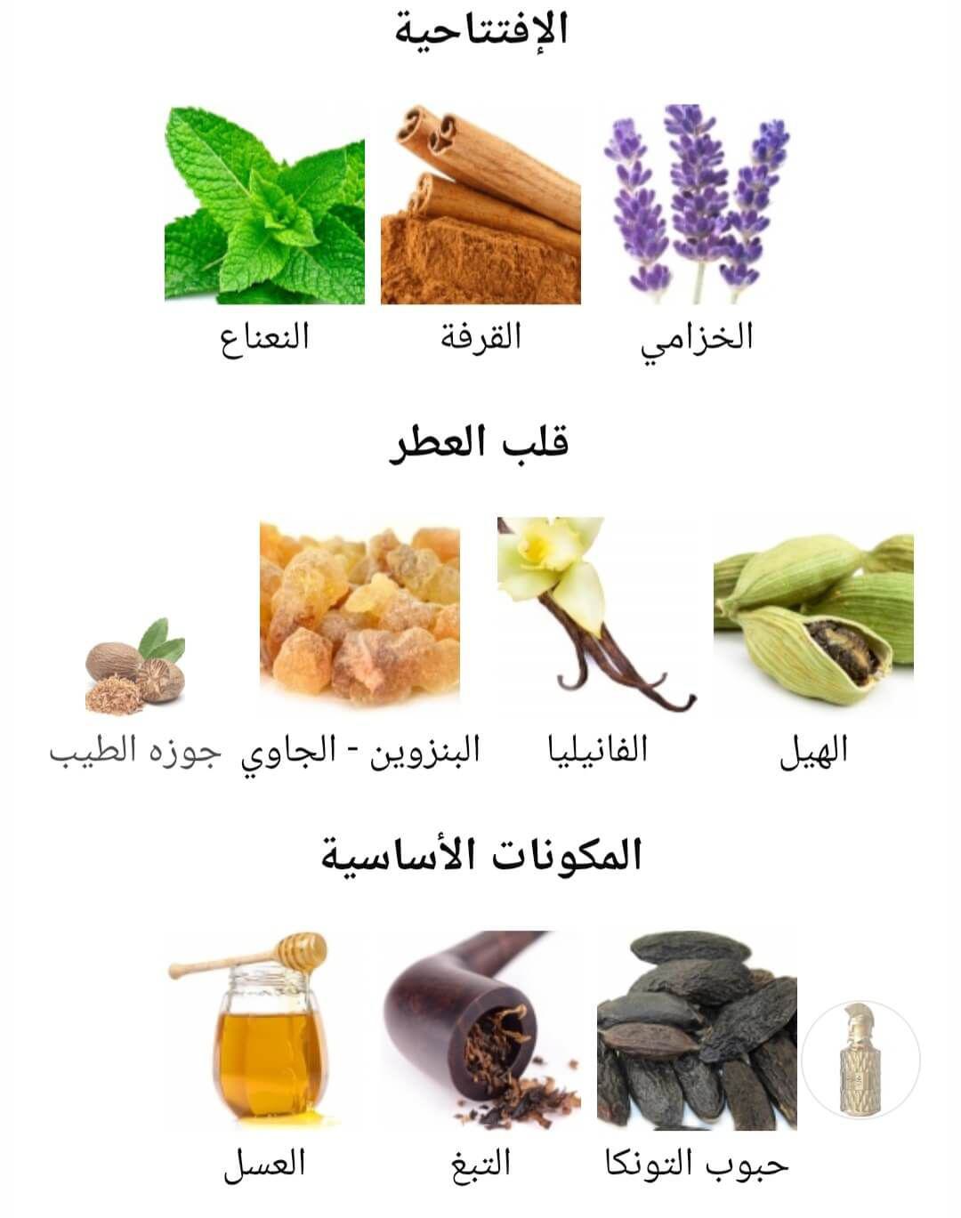 Muharib Alpha Le Falconé Perfumes