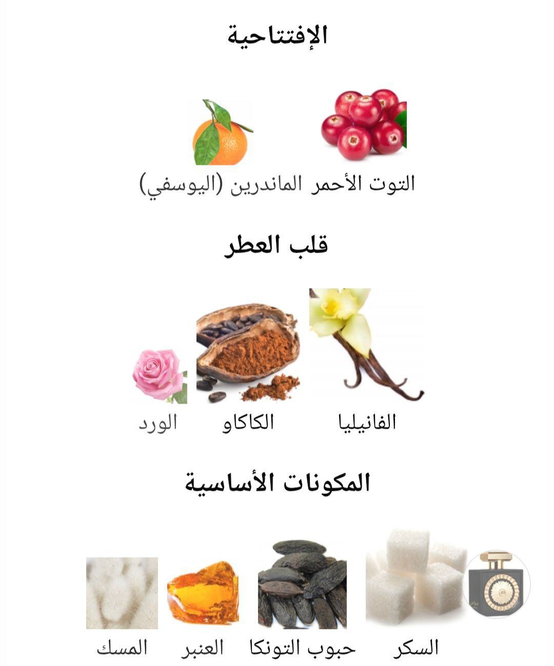 Nebras Lattafa Perfumes