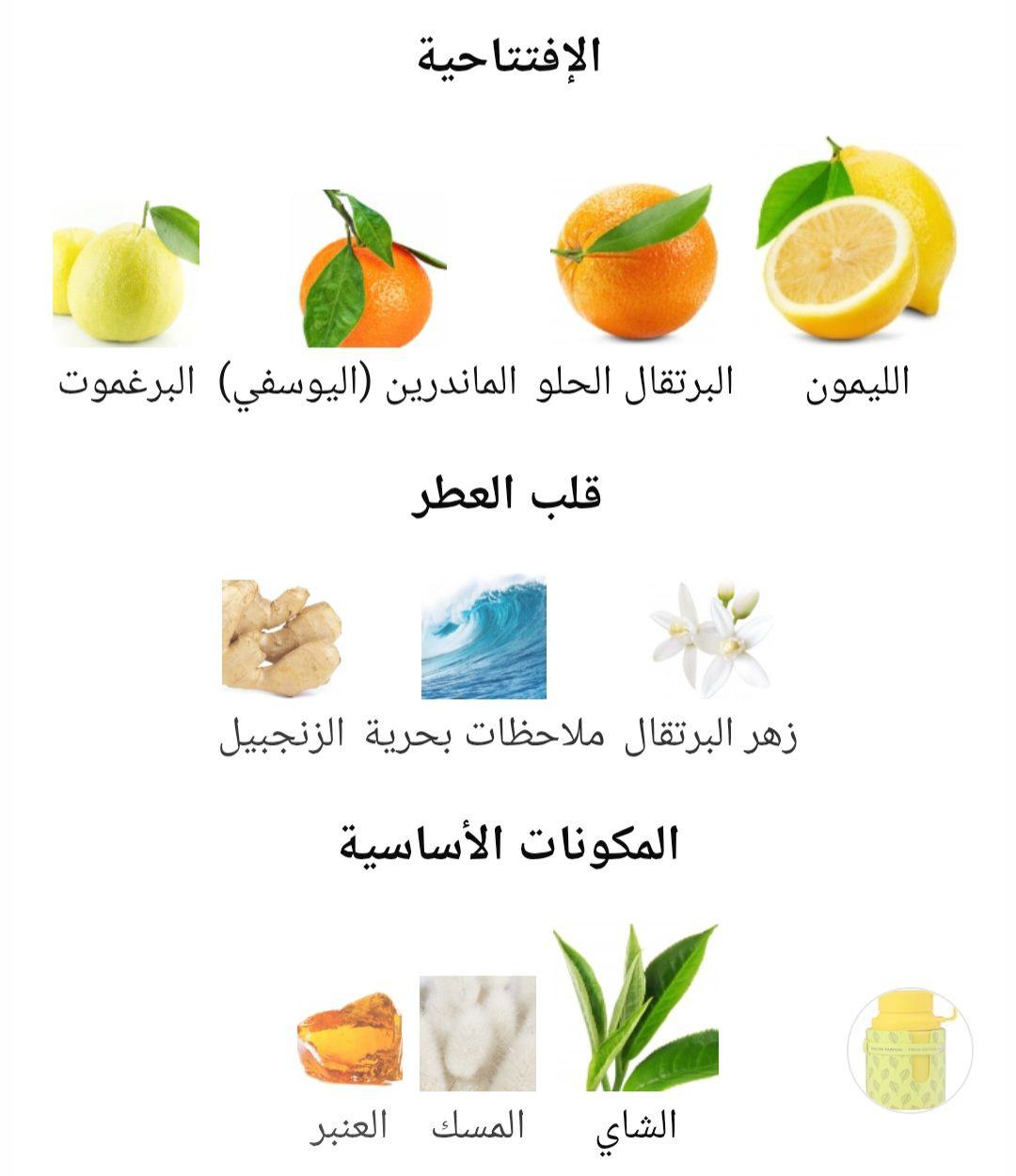 Odyssey Limoni Fresh Armaf