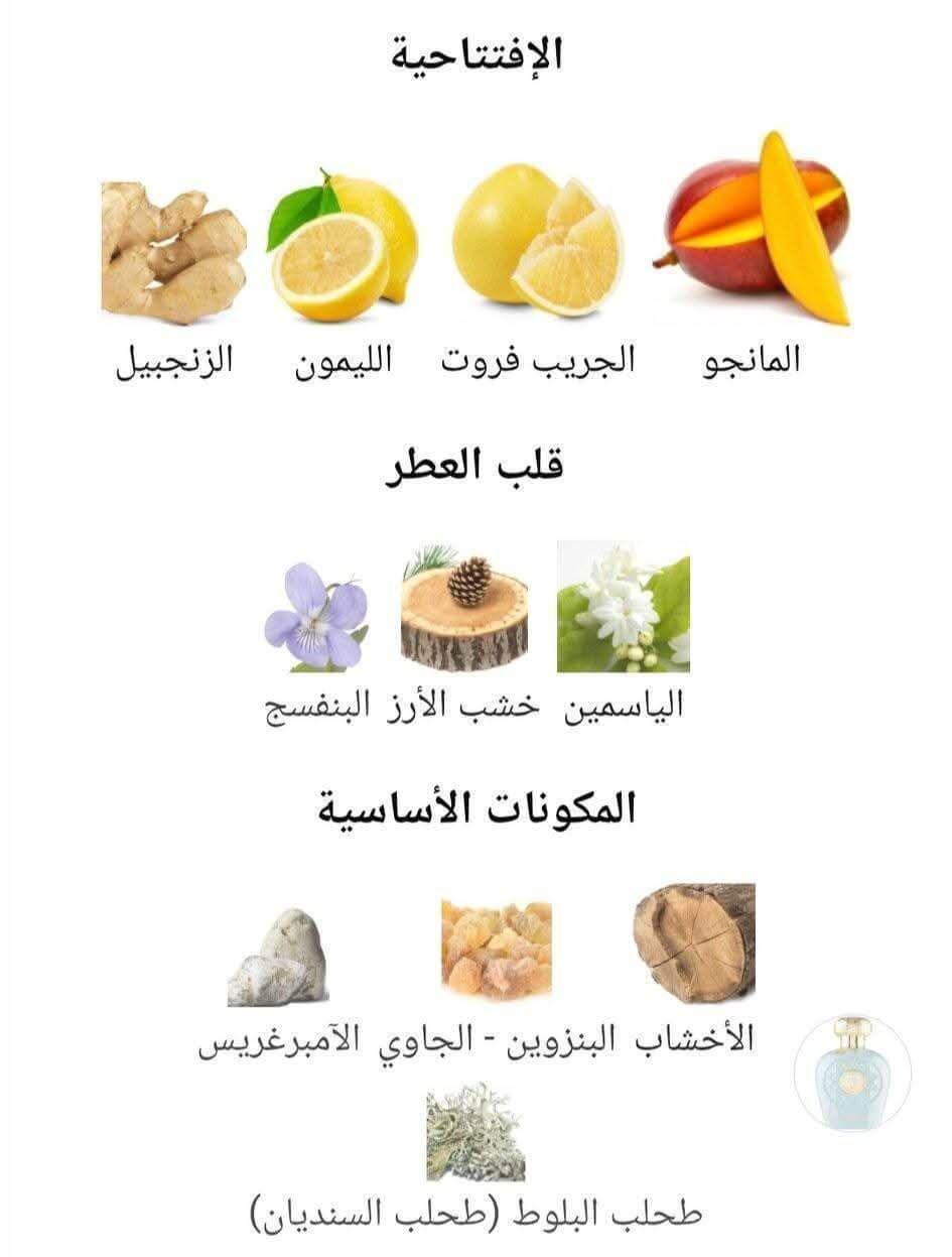 Opulent Dubai Lattafa Perfumes