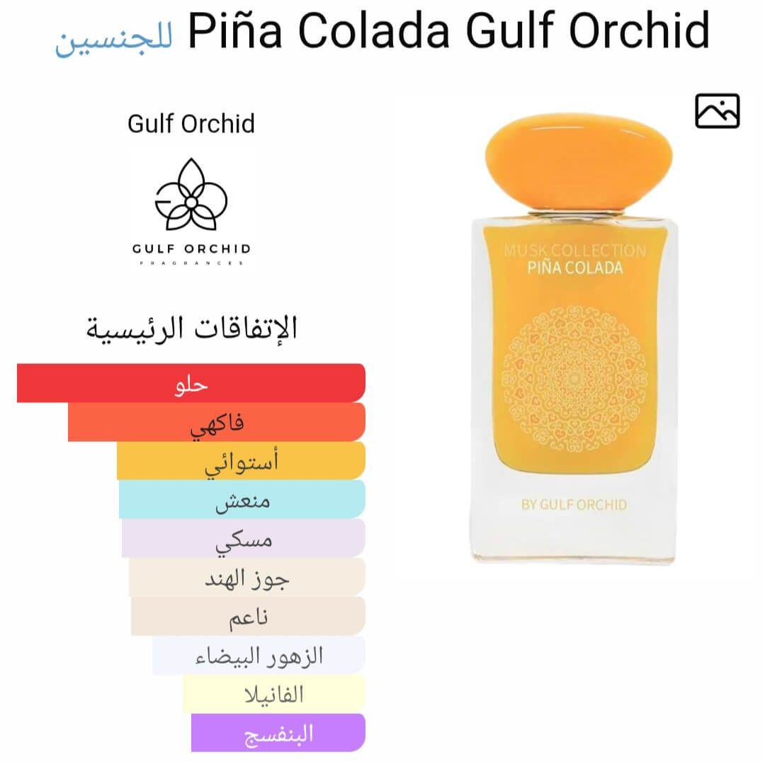 Piña Colada Gulf Orchid