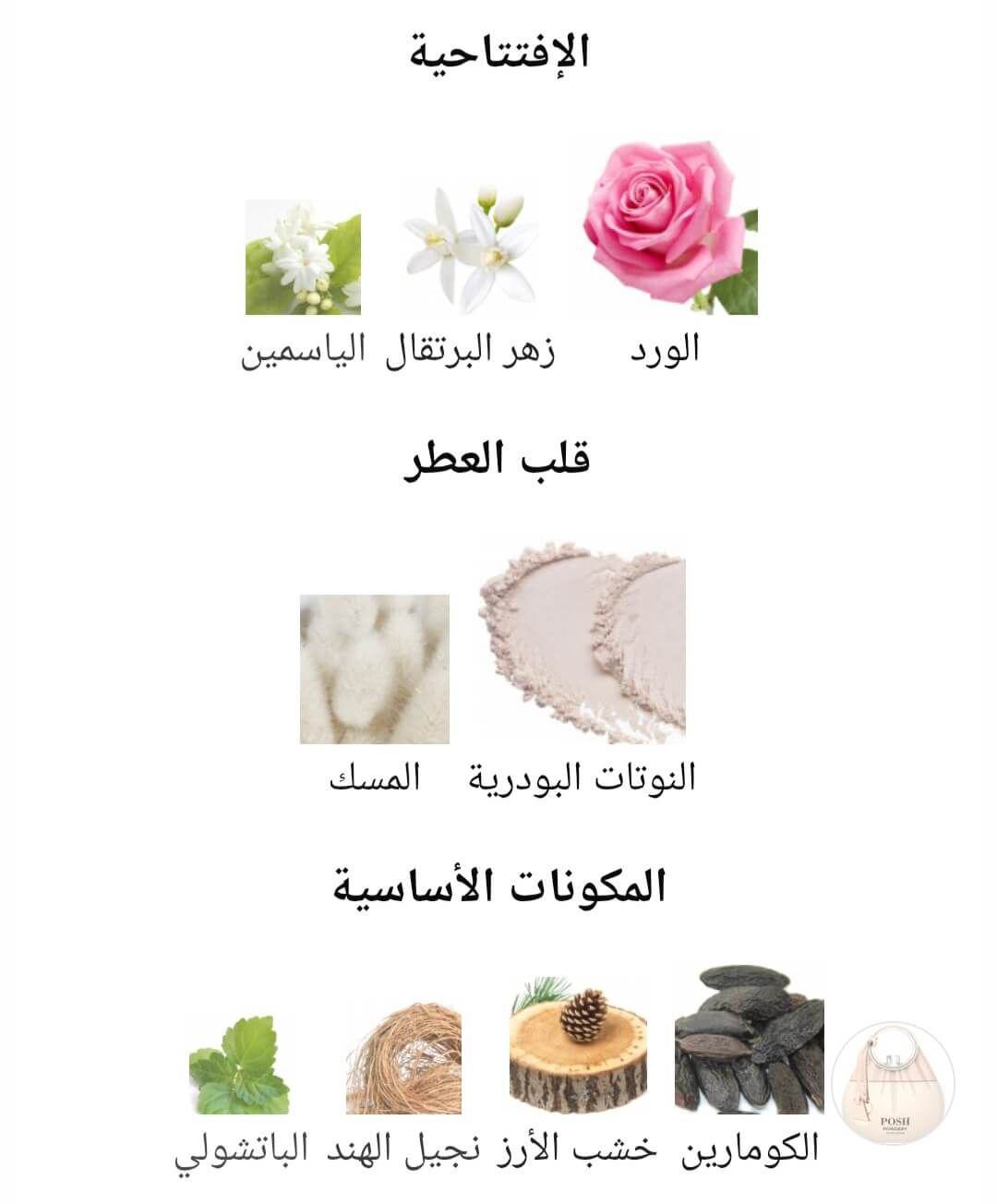 Posh Powdery Camara Perfumes