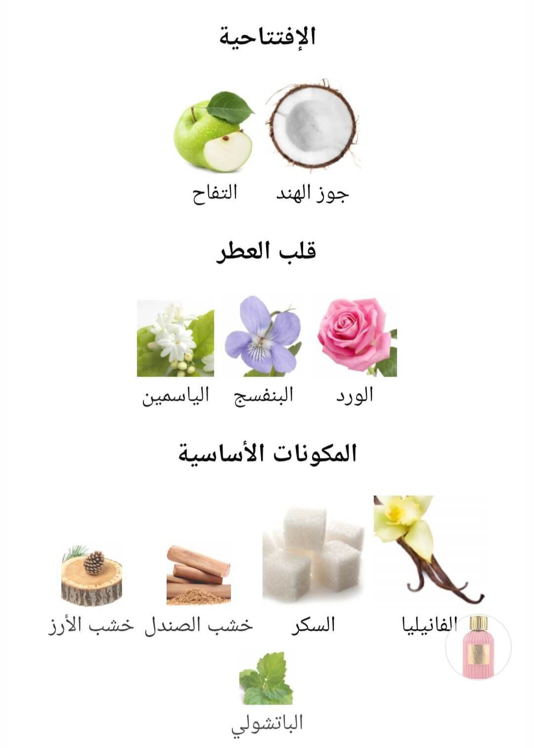 Qissa Pink PARIS CORNER