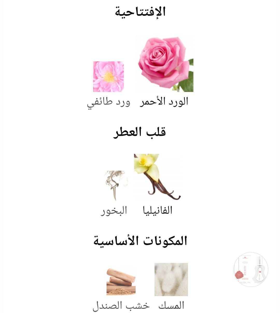 Red Rose Al-Rehab