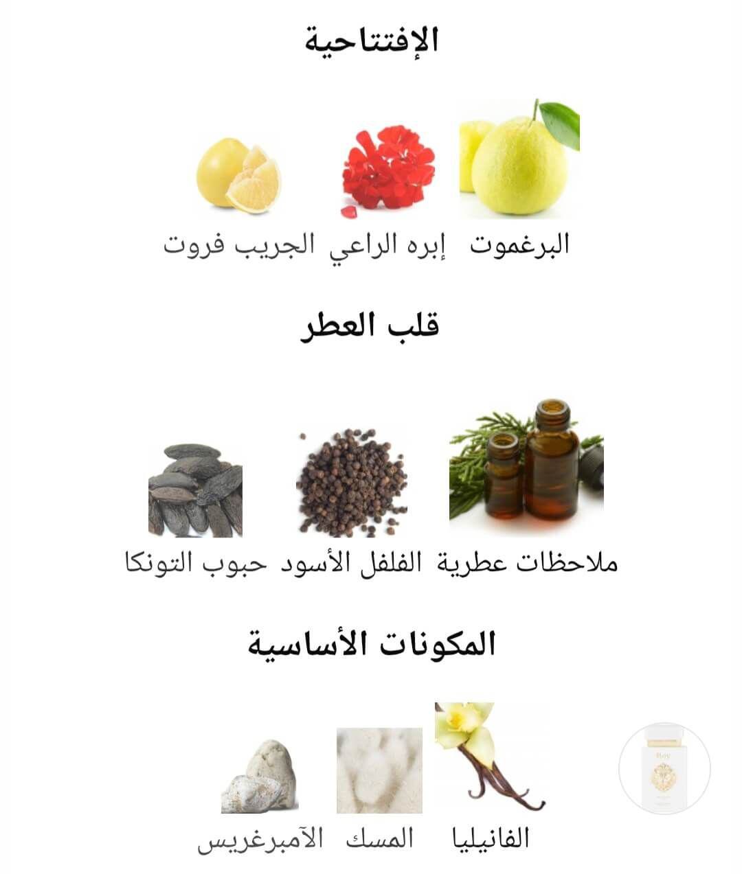 Rey MAISON ASRAR