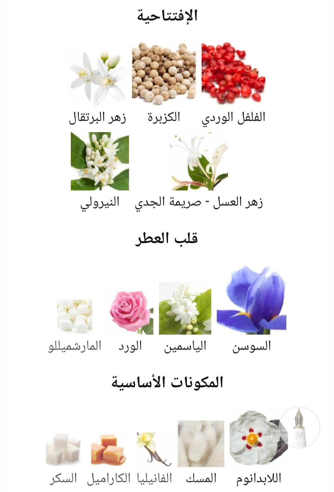 Risala For You Le Falconé Perfumes