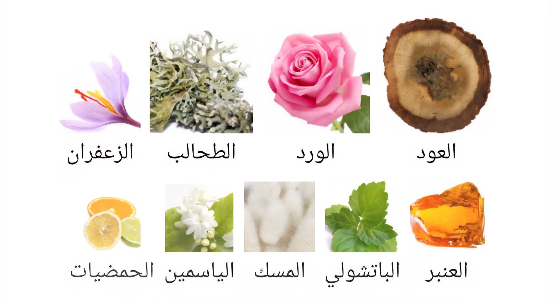 Saat Safa Al-Rehab