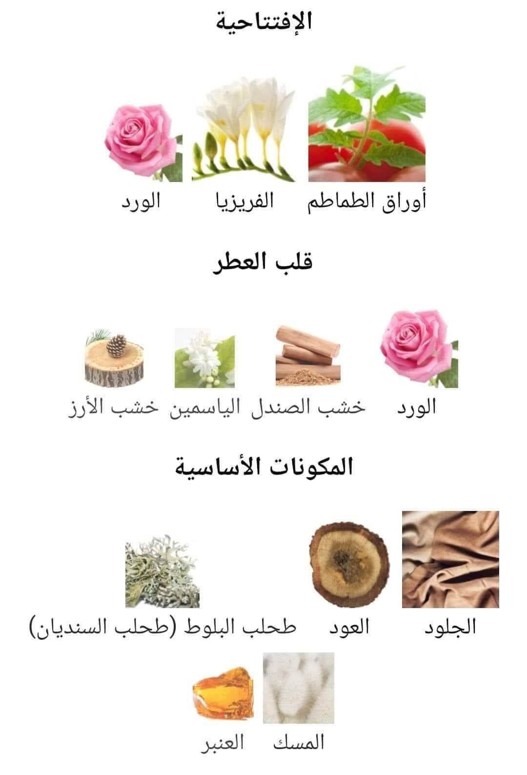 Shuhrah Pour Homme Rasasi