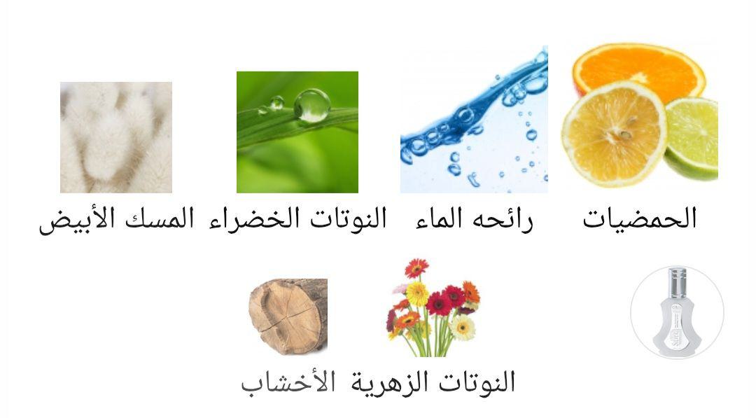 Silver Al-Rehab