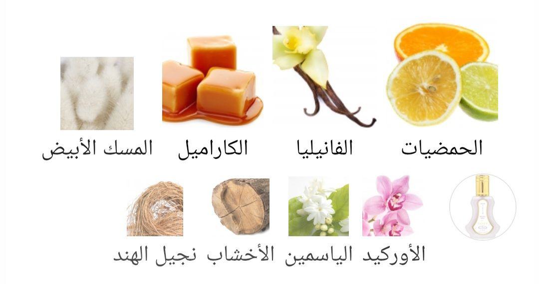 Soft Al-Rehab