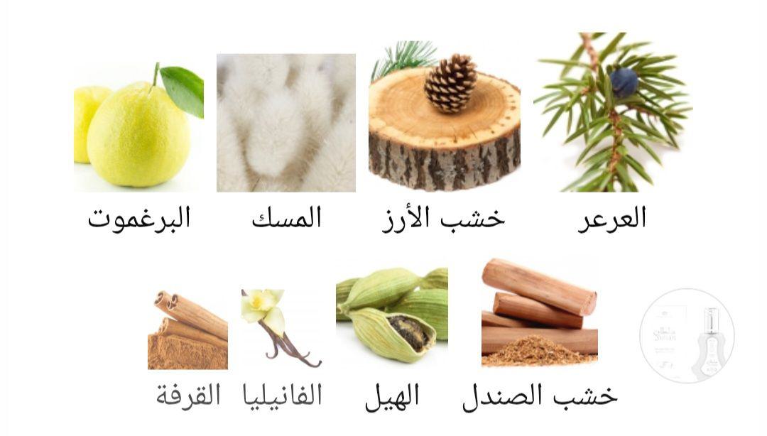 Sultan Al-Rehab