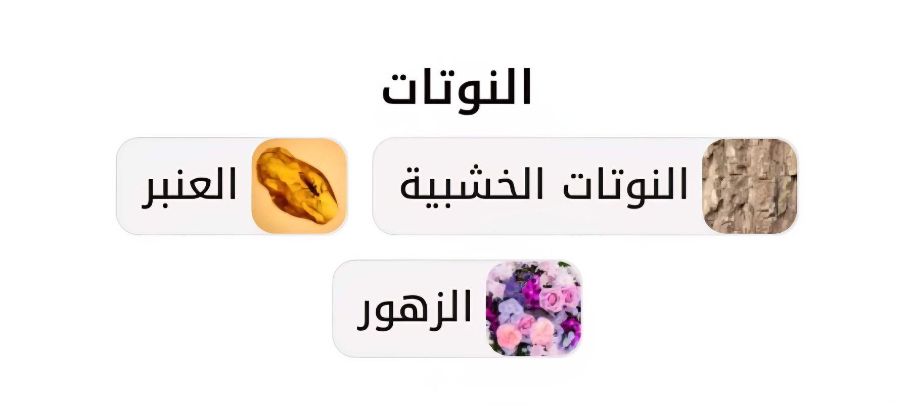 Taboo Thnyan Riyadh