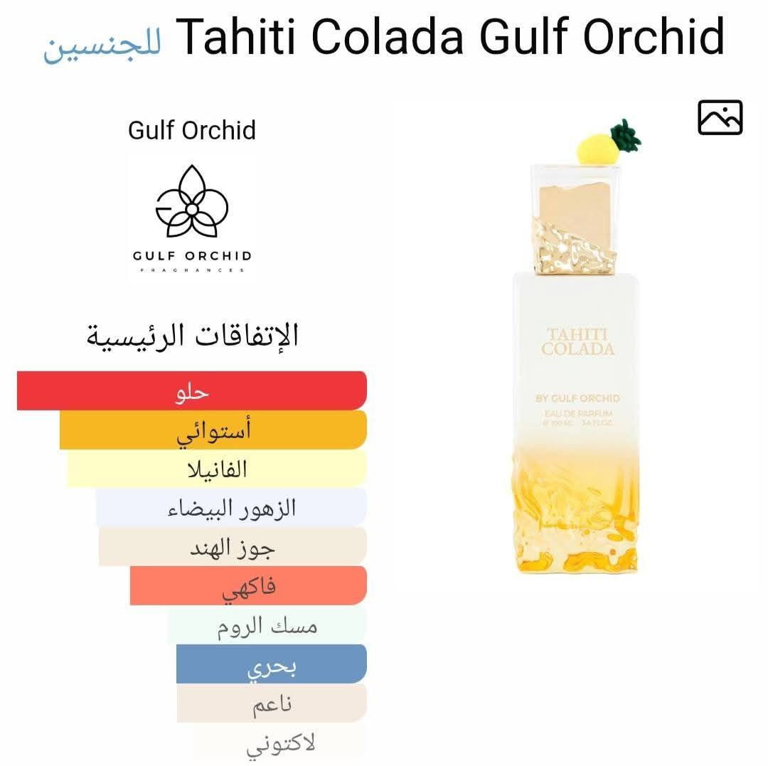 Tahiti Colada Gulf Orchid