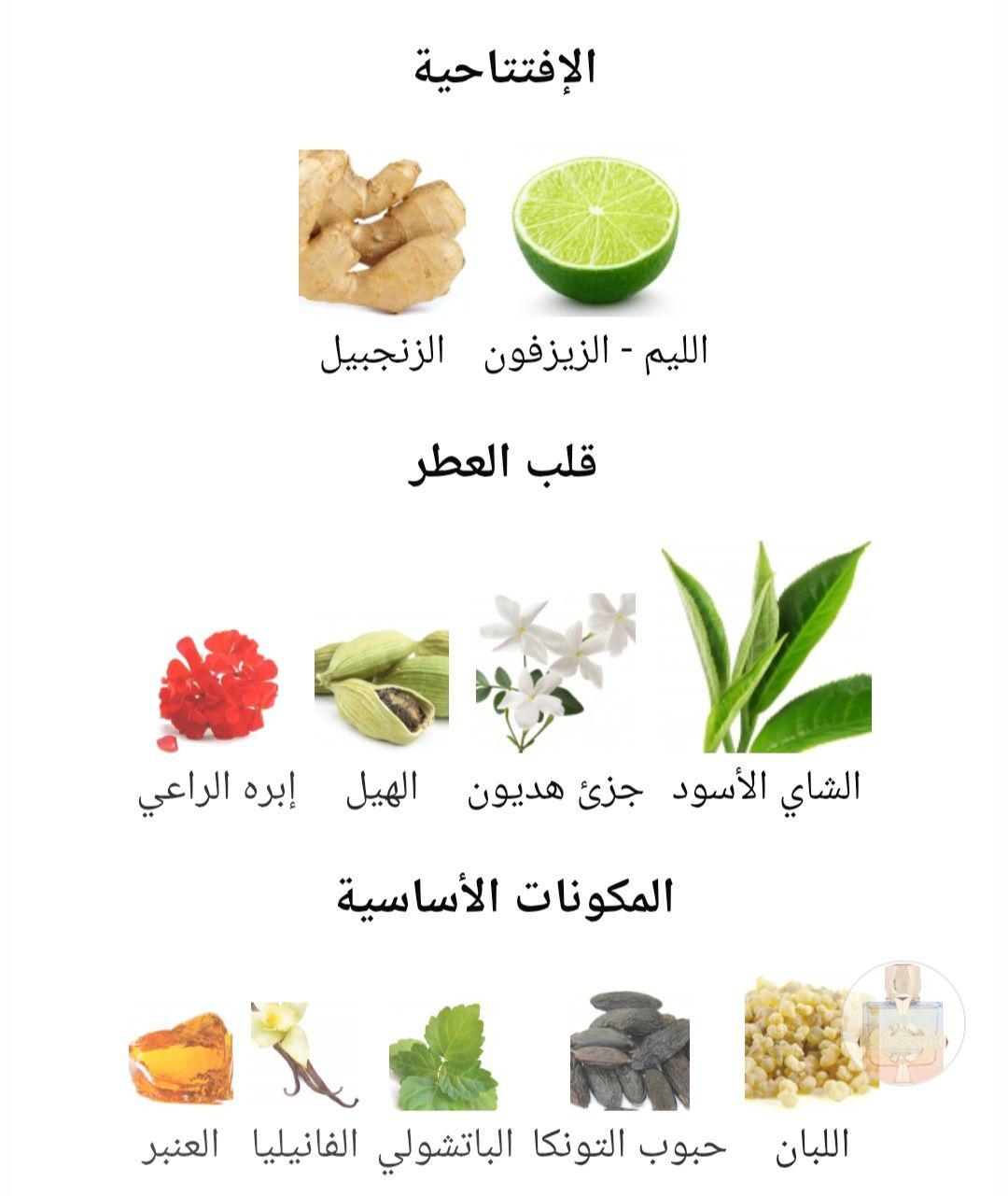 Teas Me Aromatix X French Avenue