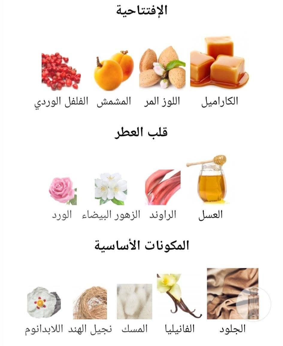Teriaq Lattafa Perfumes