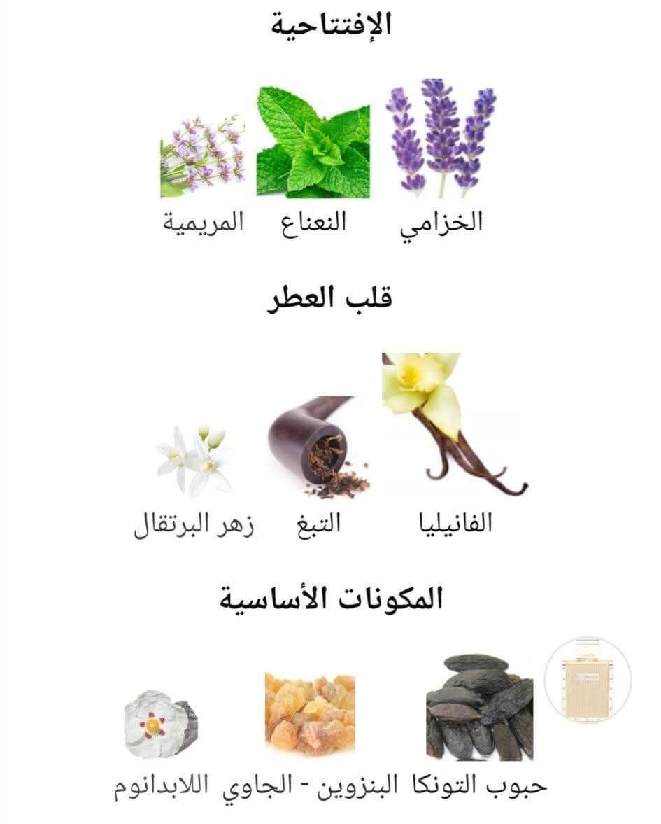 The Kingdom For Men Lattafa Perfumes