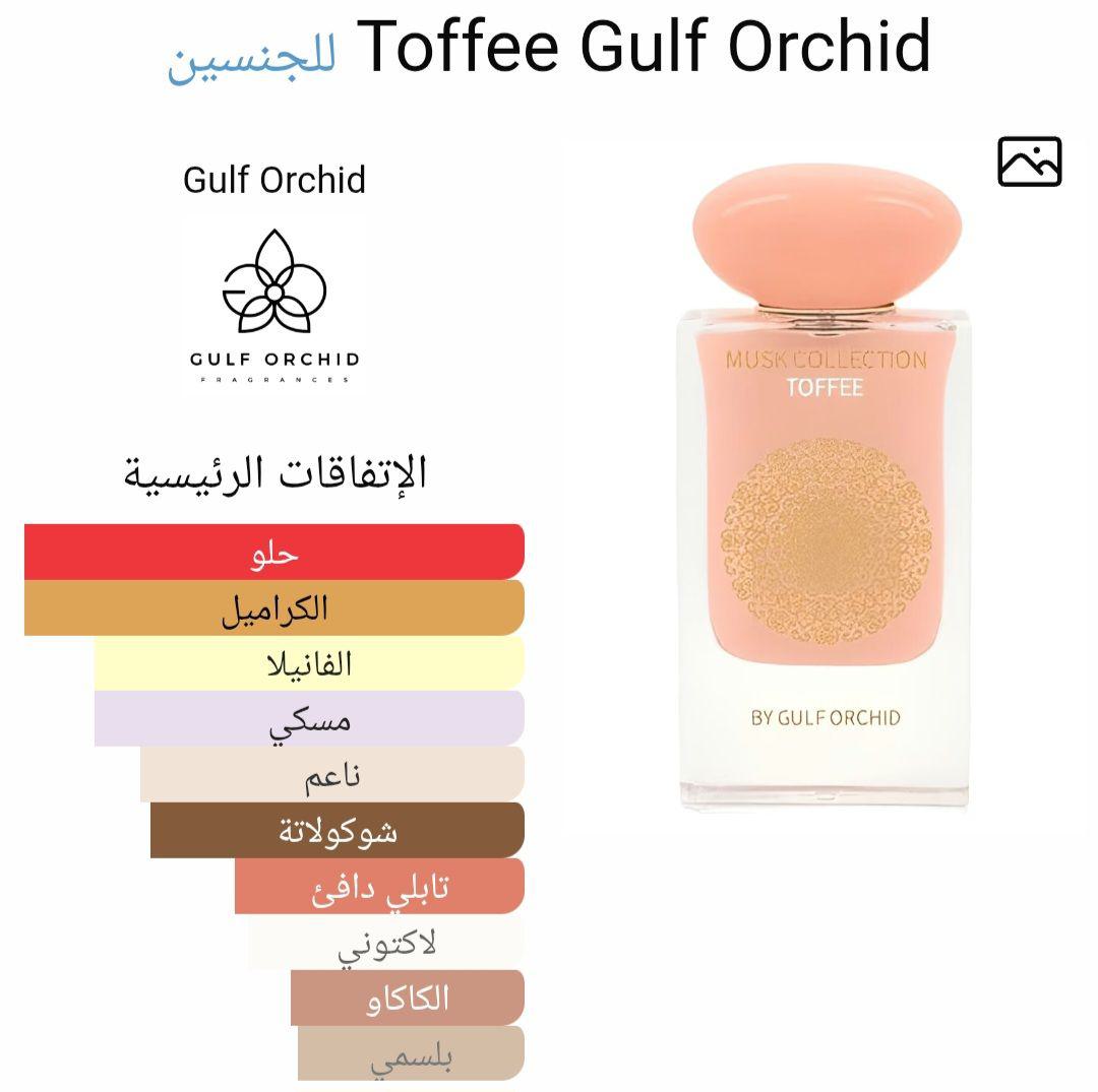 Toffee Gulf Orchid