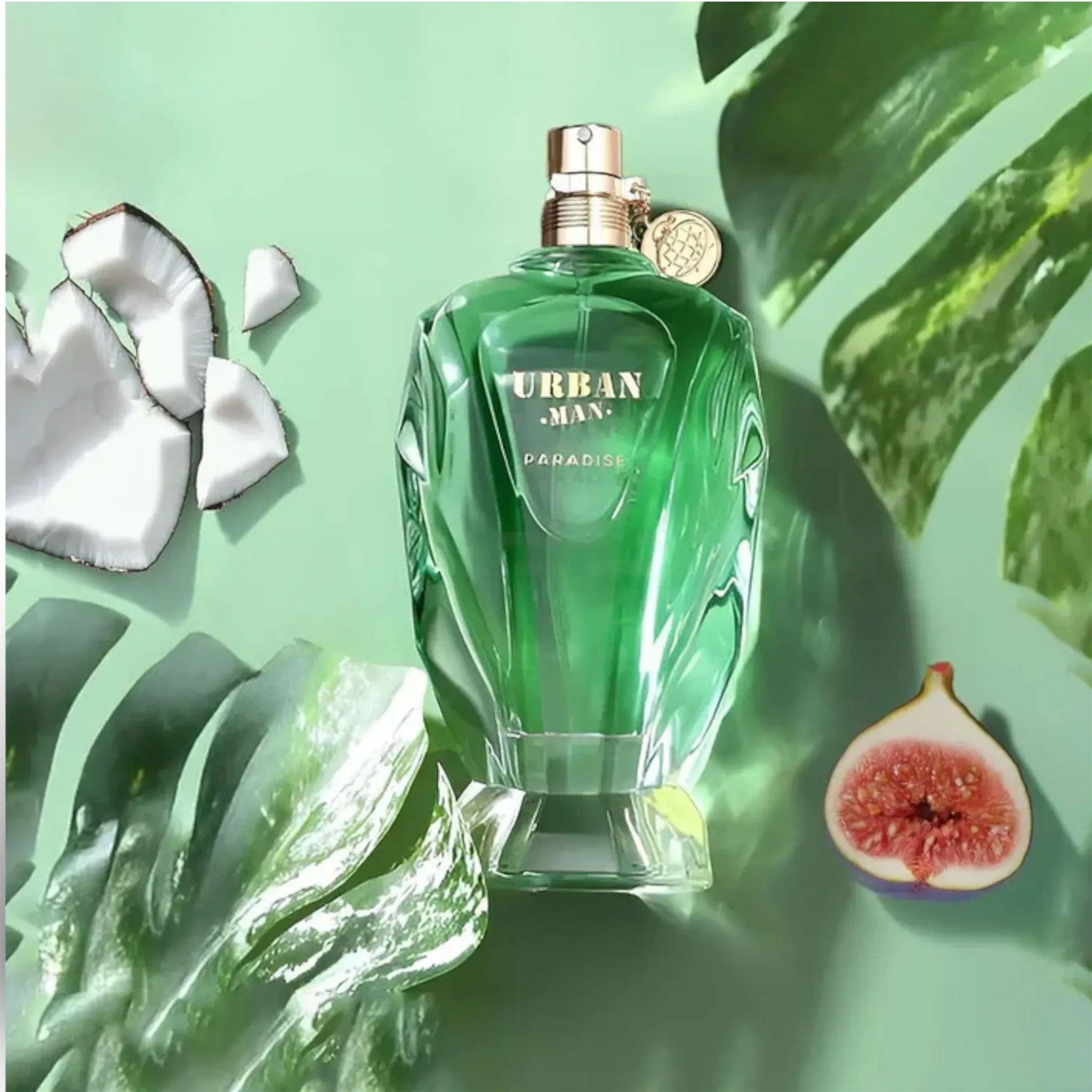 Urban Man Paradise Fragrance World
