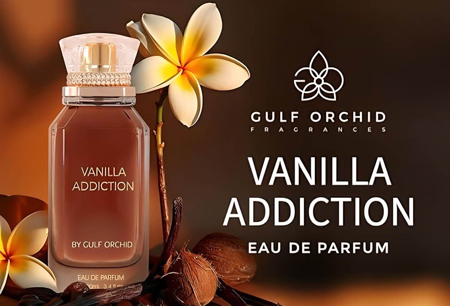 Vanilla Addiction Gulf Orchid
