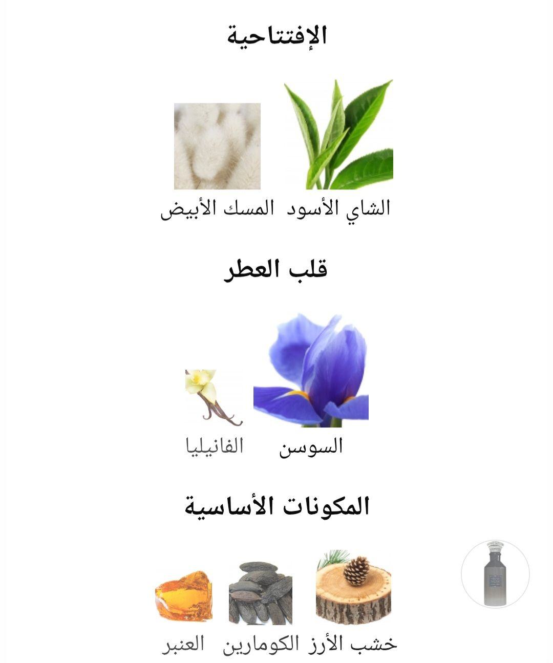 Velvet Musk Lattafa Perfumes