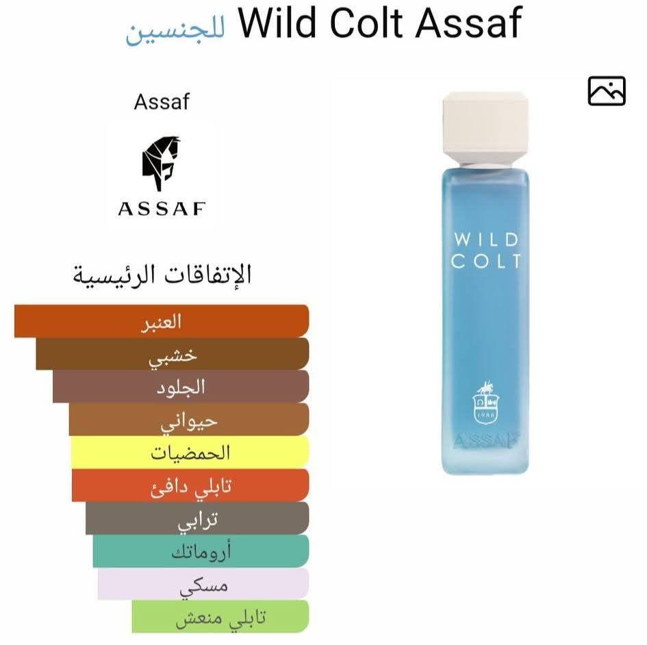 Wild Colt Assaf