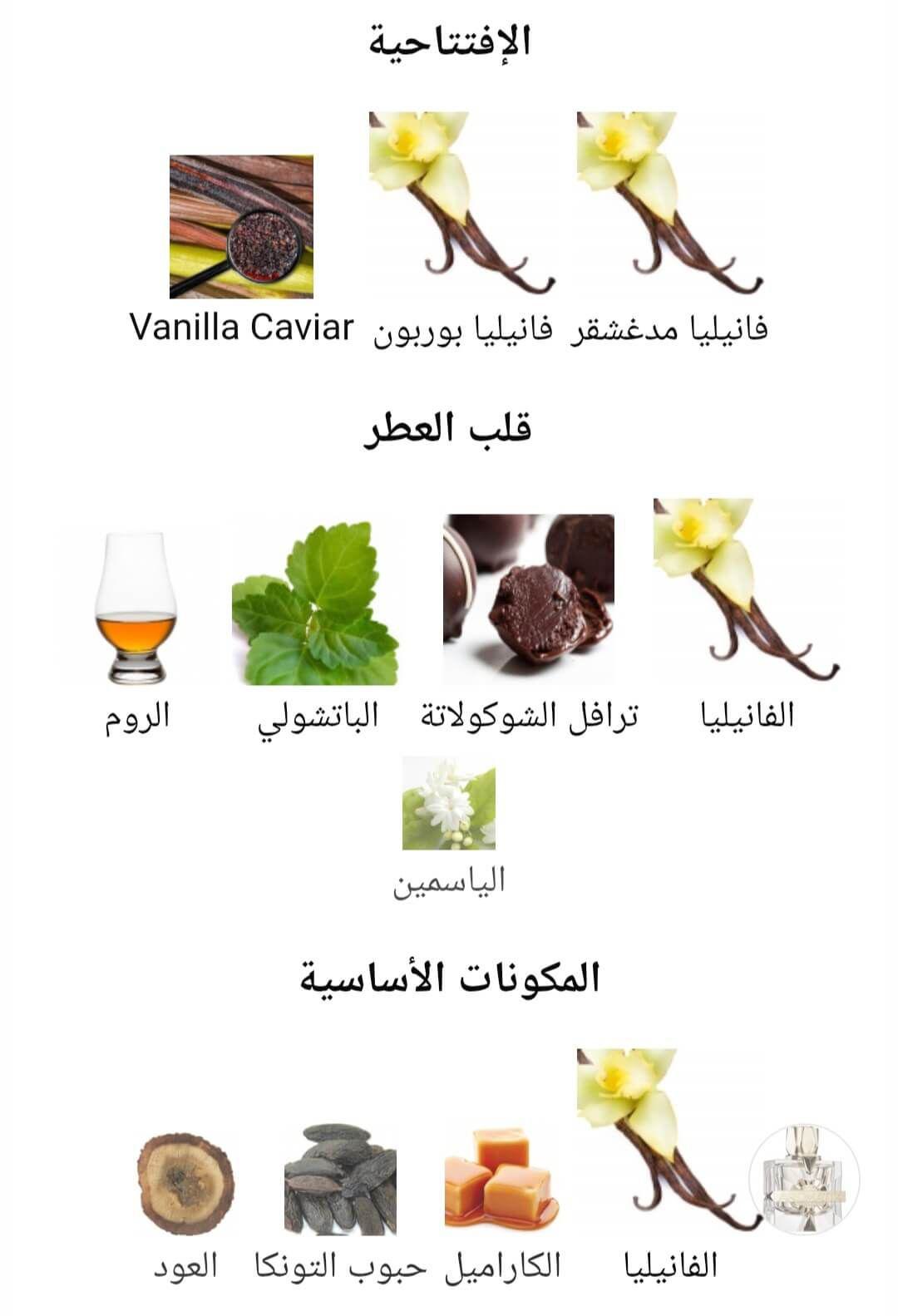 X Xandal Aromatix X French Avenue