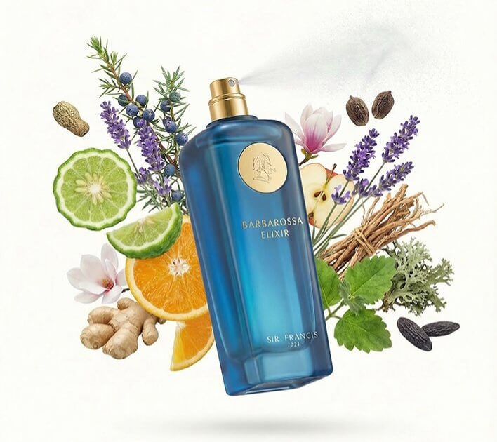 Barbarossa Elixir Sir. Francis